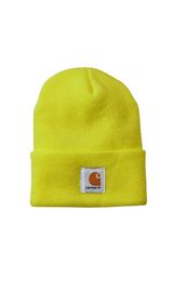 Carhartt - Hue Watch Hat
