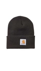 Carhartt - Hue Watch Hat